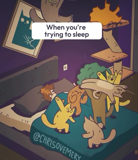 Every night...